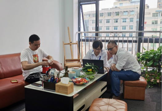 关于大菠萝视频网址APP